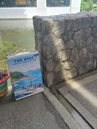 The Reef 