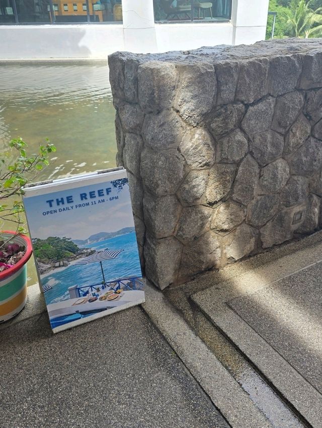The Reef 