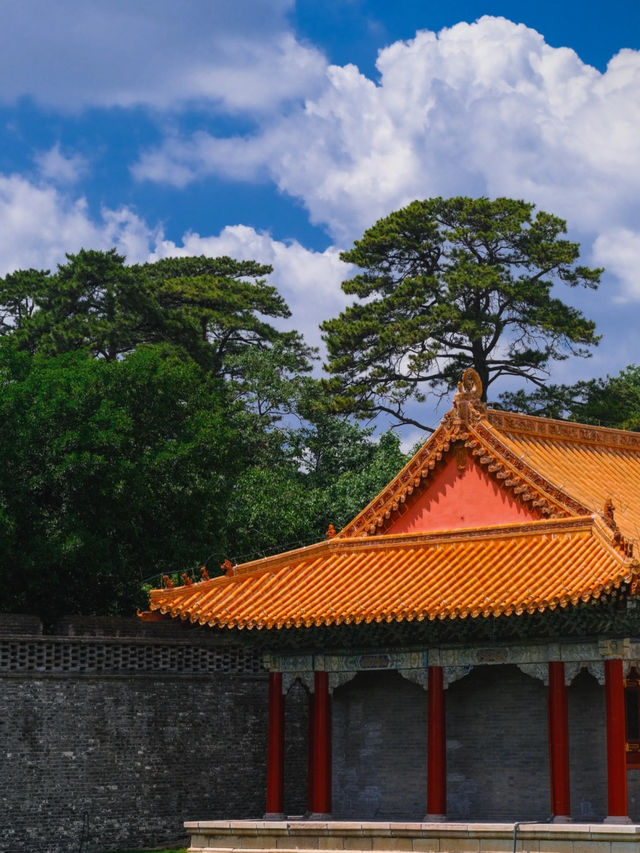 Dongling Park ☀️ 🌳 