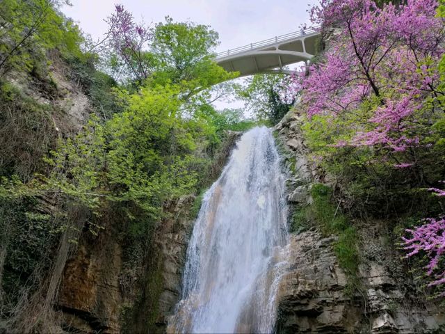 Tbilisi’s Botanical Garden is a Whole Mood