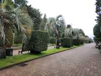 Coastal Cruising at Batumi Boulevard