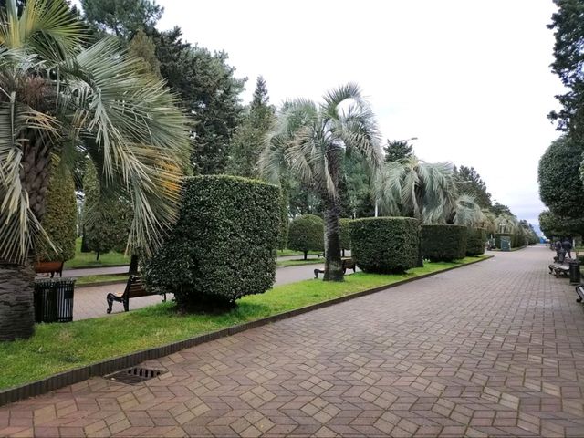 Coastal Cruising at Batumi Boulevard
