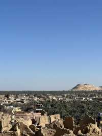 The Castle That Sweats Salt: Shali’s Last Stand