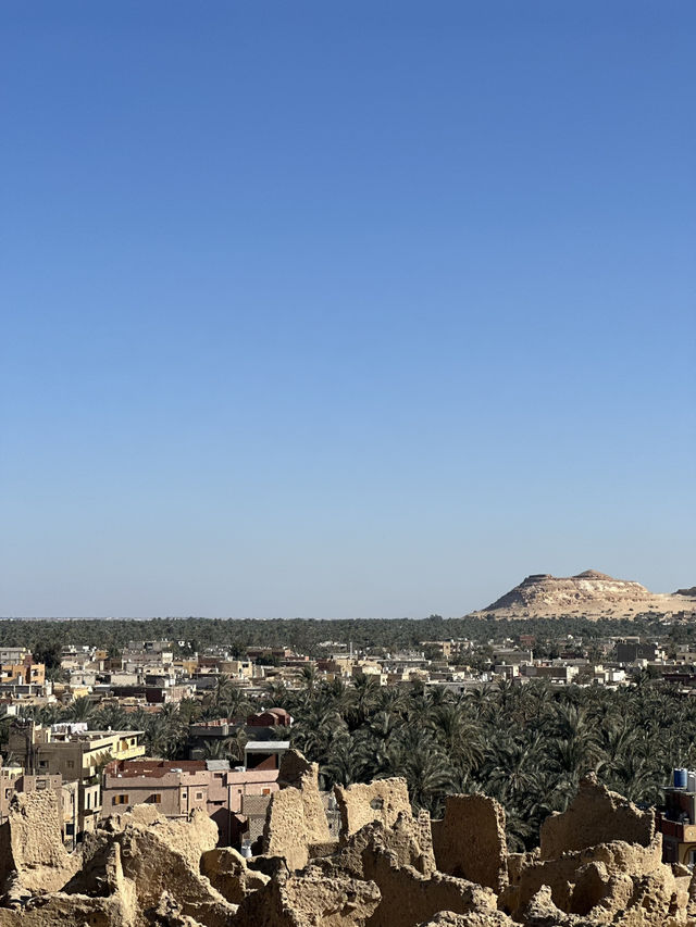 The Castle That Sweats Salt: Shali’s Last Stand