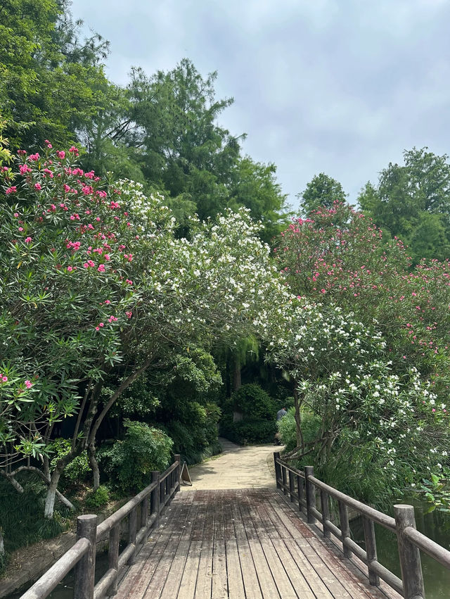 Yuhuang Mountain ⛰️ 
