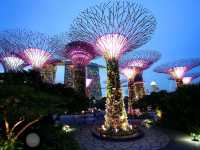 🌟 Supertree Grove – สิงคโปร์ 🌳✨