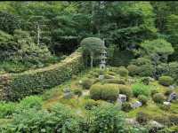 【大原三千院】山里に佇む癒しの寺🍃静寂と緑に包まれる“心の旅”