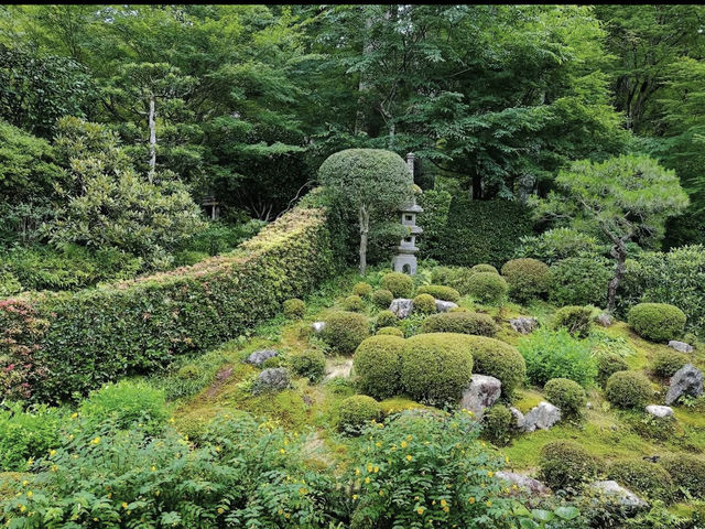 【大原三千院】山里に佇む癒しの寺🍃静寂と緑に包まれる“心の旅”
