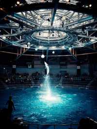 【京都水族館】街中で出会う海の世界🐬癒しと驚きが詰まった都市型水族館