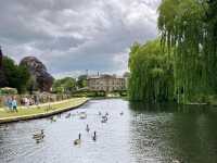 A beautiful park with stunning nature, this place is really well looked after, very clean and full of greenery