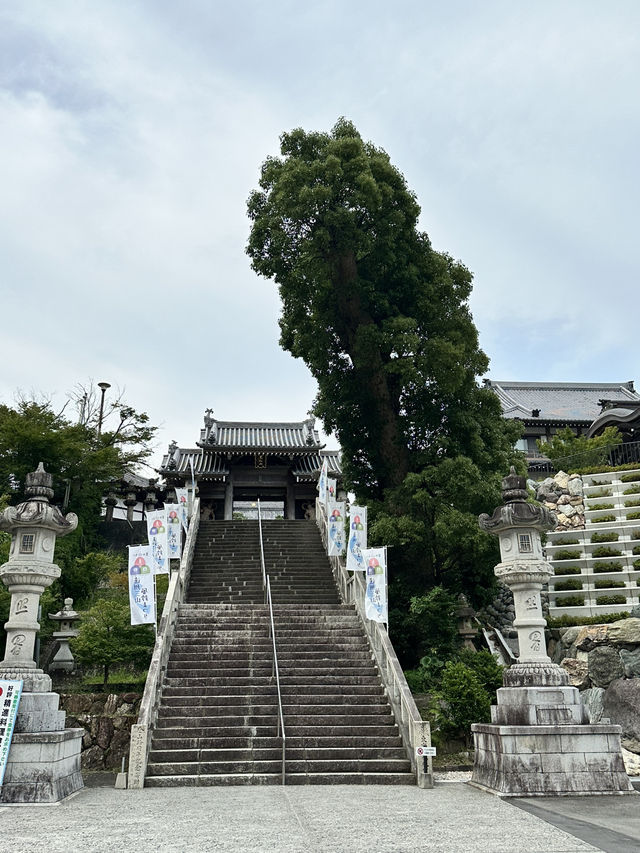 【静岡】2000個の江戸風鈴は圧巻！ものすごい音色