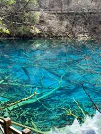 Aqua Terror: Jiuzhaigou’s Liquid Jade Insurgency
