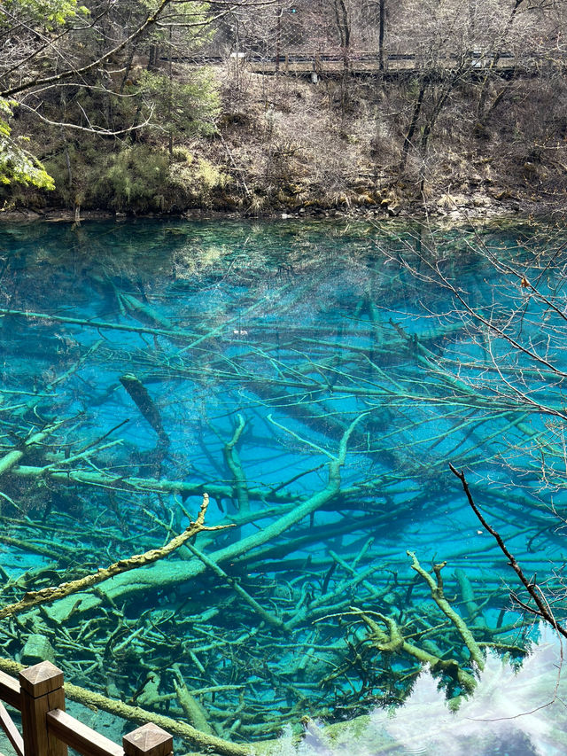 Aqua Terror: Jiuzhaigou’s Liquid Jade Insurgency