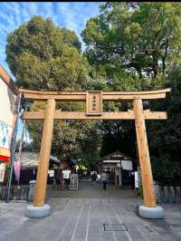 【水前寺成趣園】心がすっと整う、熊本の癒し庭園🌿