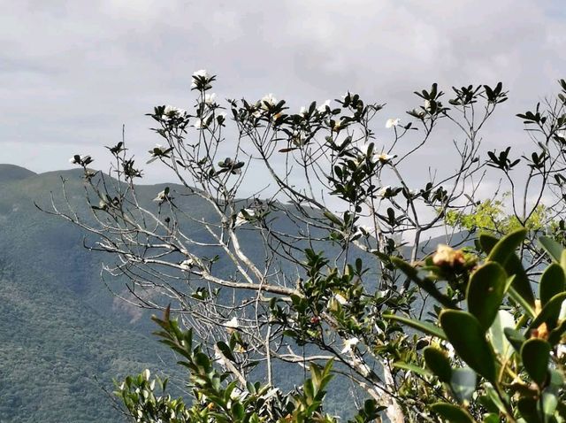 Dragon’s Back Hike