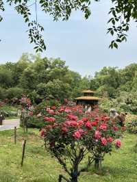 📝 3-Day Wuhan Itinerary