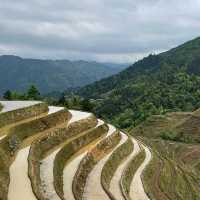 Longji Rice Terraces (Guangxi)