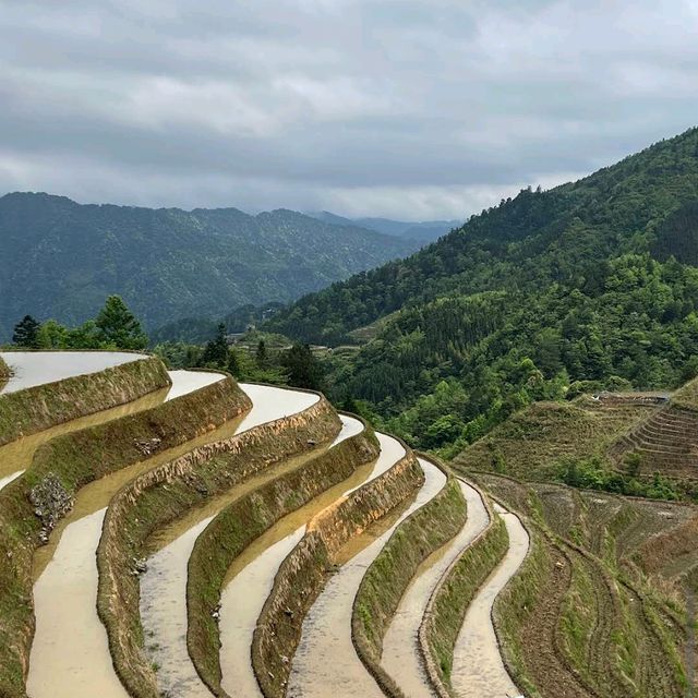 Longji Rice Terraces (Guangxi)