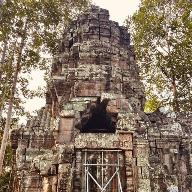 🌿 Ancient Wonders & Solo Adventures: Angkor Wat, Cambodia! 🏛️