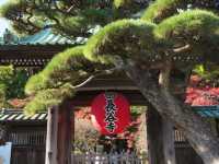 1 DAY TRIP IN KAMAKURA