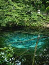 🗾🌿夏日北海道小攻略（7月篇）🦀螃蟹鉗雕像