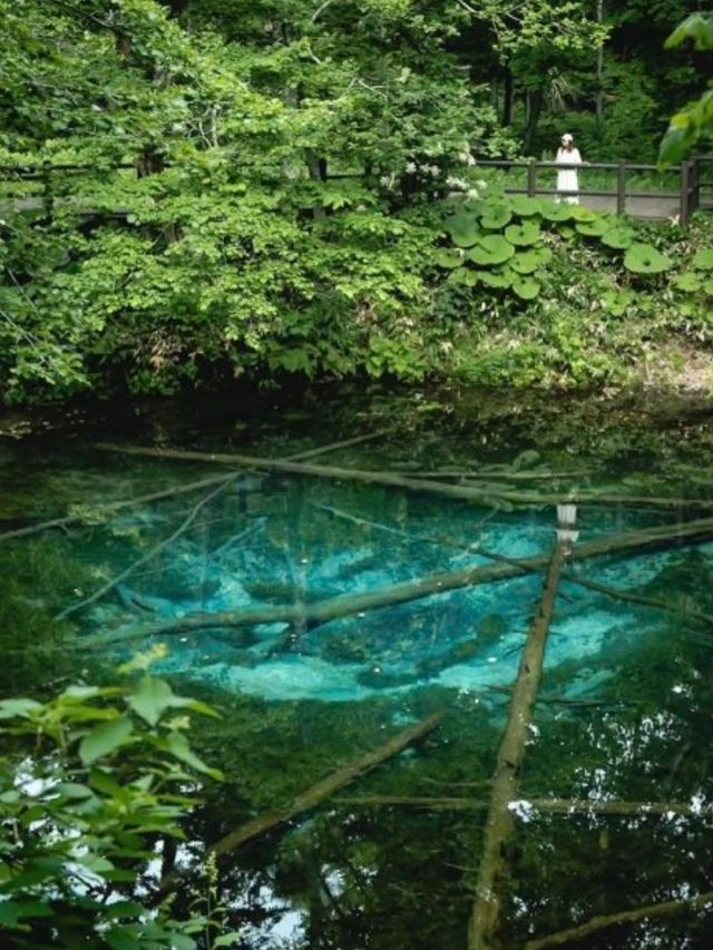 🗾🌿夏日北海道小攻略（7月篇）🦀螃蟹鉗雕像