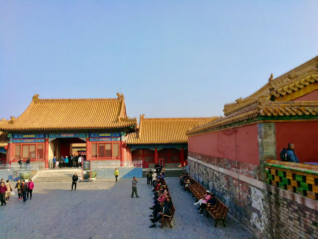 🐉 Nine Dragons in Glazed Glory: A Pause Outside Ning Shou Palace
