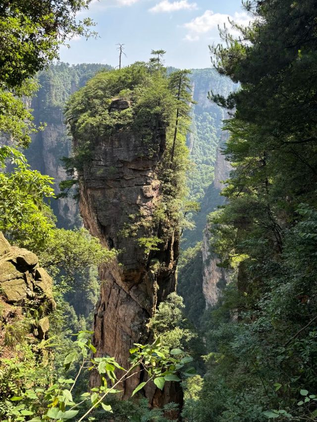 Unlocking Heaven’s Door: The Adventure of Tianmen Mountain