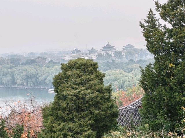 A Belated Realization at Beihai Park A Belated Realization at Beihai Park