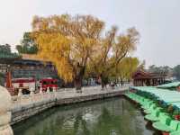A Belated Realization at Beihai Park