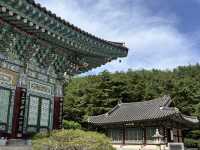 大邱🇰🇷｜大邱秘境古剎！符仁寺千年歷史與神秘四頭烏龜你看過嗎？🐢✨