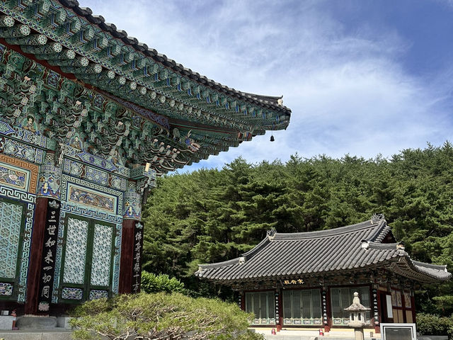 大邱🇰🇷｜大邱秘境古剎！符仁寺千年歷史與神秘四頭烏龜你看過嗎？🐢✨