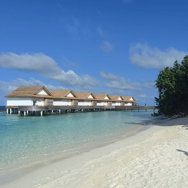 Bandos Maldives – Tropical Island Escape Near Malé Bandos Maldives – Tropical Island Escape Near Malé