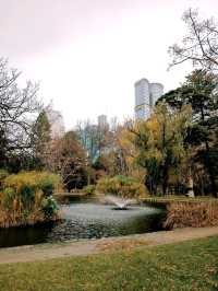 Winter Walk Through Carlton Gardens – A Peaceful Melbourne Escape