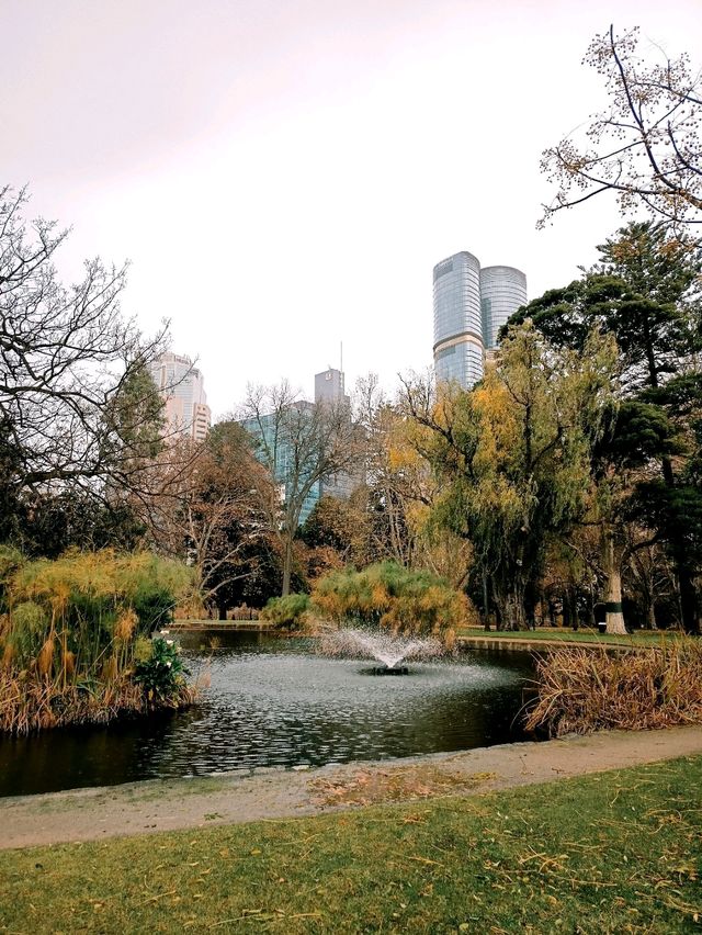 Winter Walk Through Carlton Gardens – A Peaceful Melbourne Escape