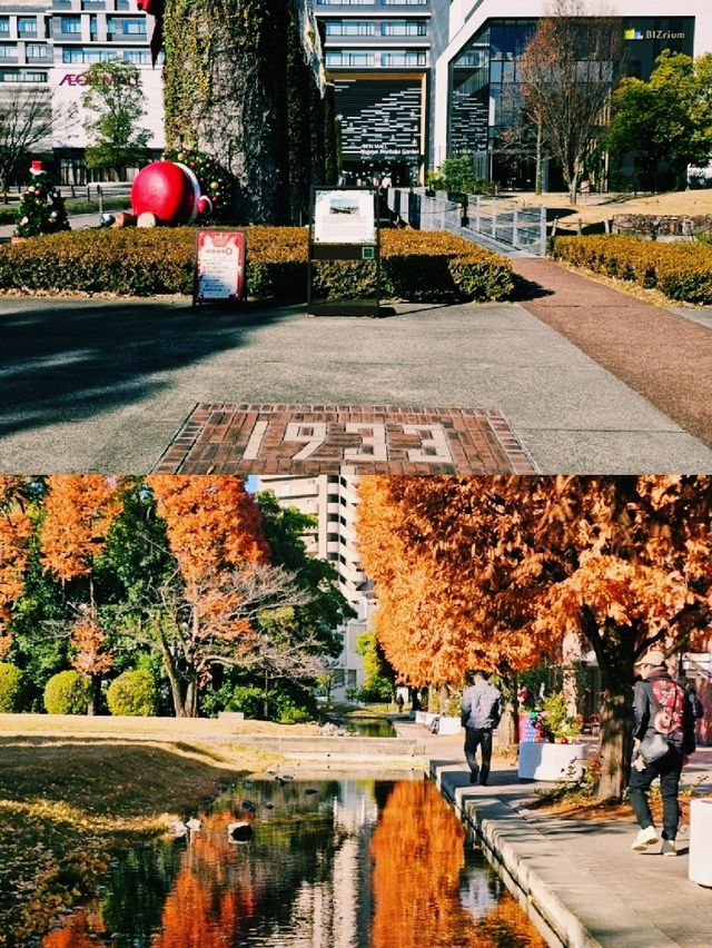 삿포로, 눈처럼 맑고 따뜻한 도시의 기억