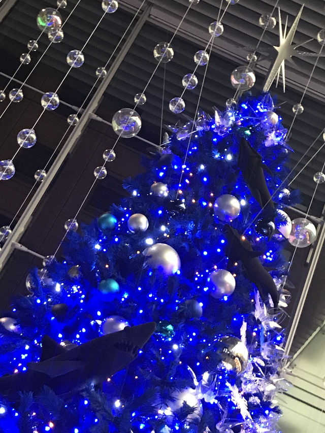 🌲2020年 東京丸の内クリスマスツリー と2025年に乞うご期待❣️