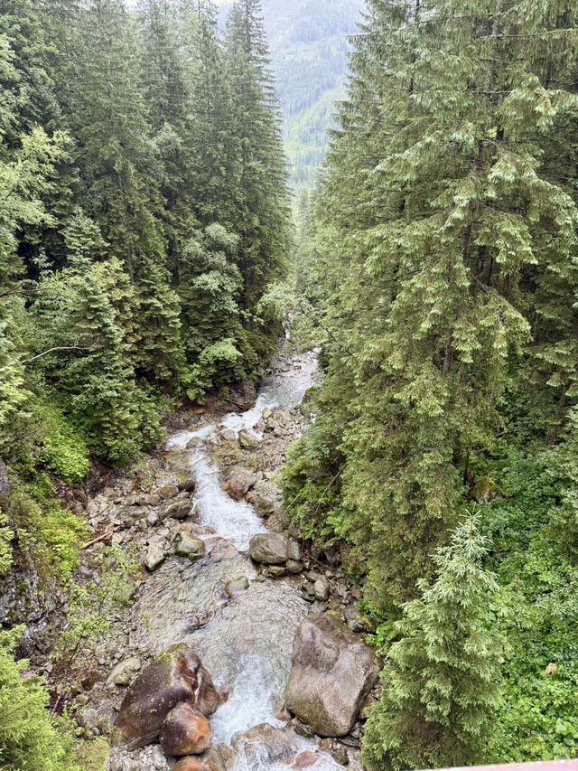 Pink Meadows & Cloud-Kissed Peaks: Zakopane’s Quiet Spell 