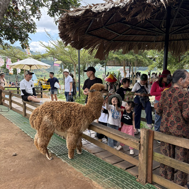 Exploring Mongo Land ĐlDa Lat – Fun, Photos, and a Touch of Mongolia