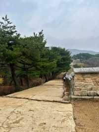 🇰🇷清州✈️野餐打卡聖地上黨山城상당산성