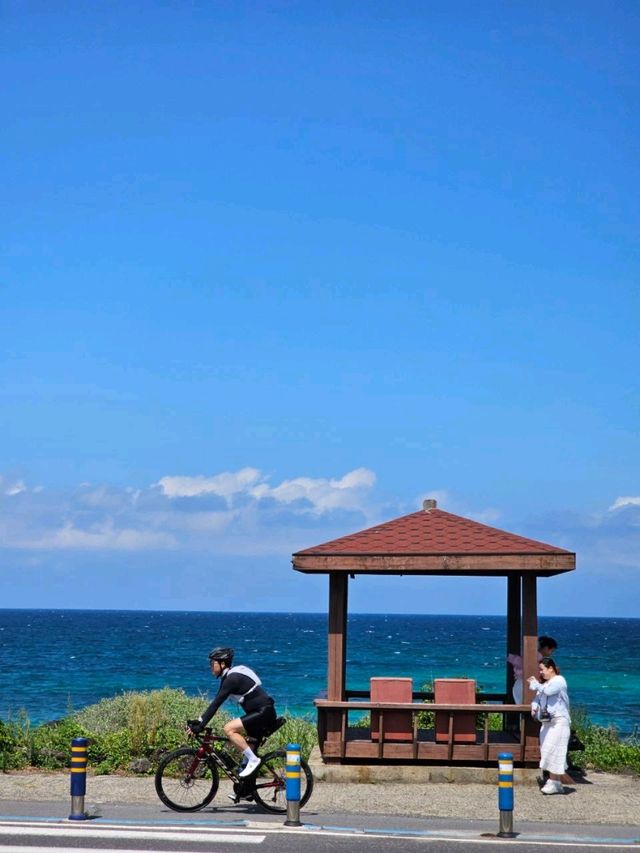 Jeju - coffee or cafe? You decide! Jeju - coffee or cafe? You decide!