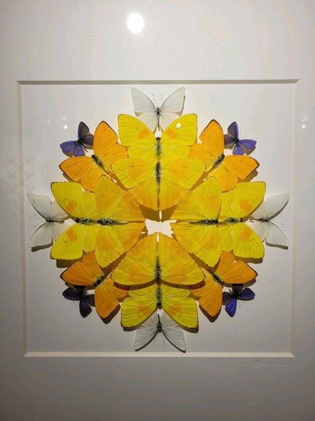 Nature exhibit at Beijing 798 Art District