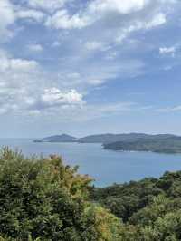 Day Trip to Amanohashidate & Ine Fishing Bay