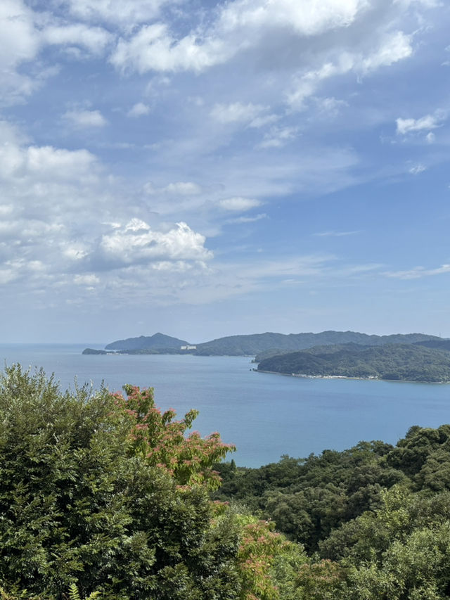 Day Trip to Amanohashidate & Ine Fishing Bay