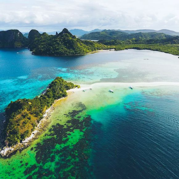 ボルネオ島🏝️