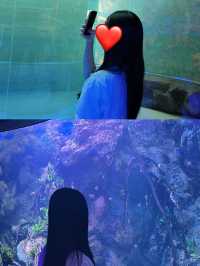 여수에서 즐기는 바다 속 여행, 아쿠아플라넷 🐠🌊