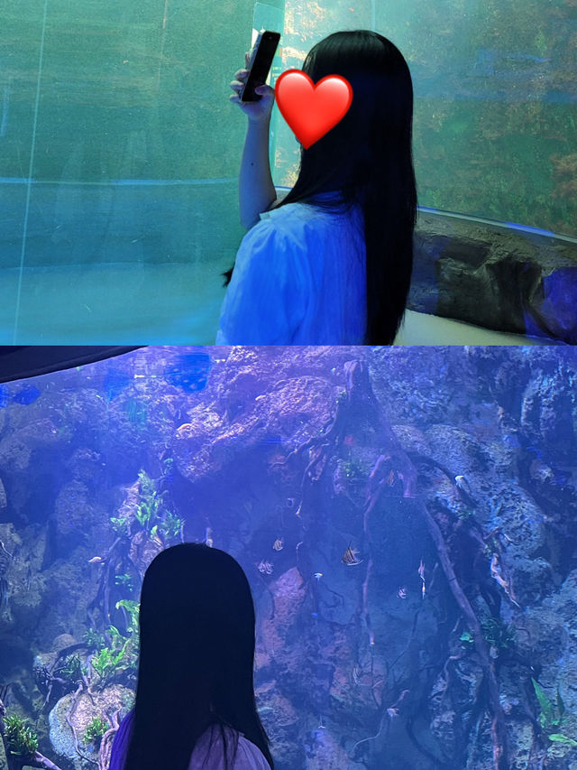 여수에서 즐기는 바다 속 여행, 아쿠아플라넷 🐠🌊