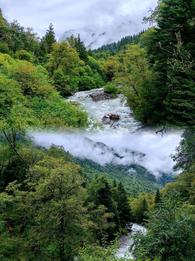 長坪溝徒步--歷史及原始生態探秘
