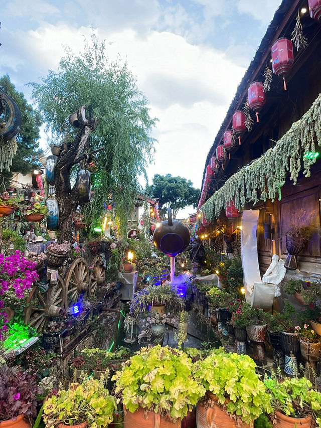 麗江之旅