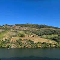 Rio Douro A River of Beauty and Tradition
